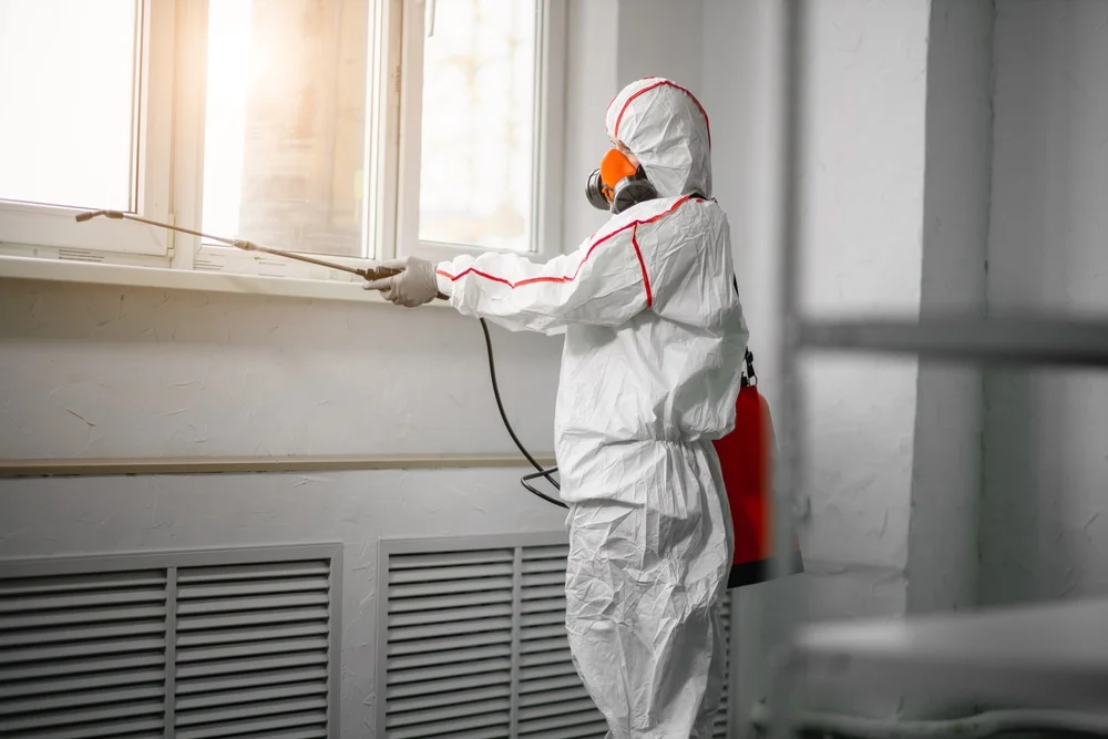 Professional mold remediation services in Newbury, NH